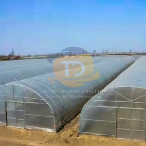 Greenhouse
