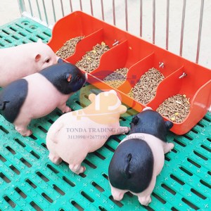 Pig Trough