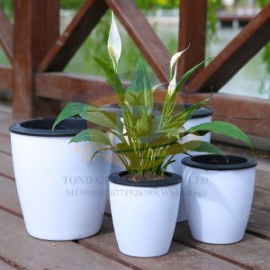 Plant Pot(Self-absorbs Water Type C)