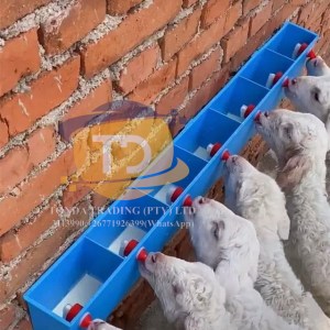 Lamb Feeding Device