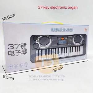 Kid’s Toy (Electronic Organ)