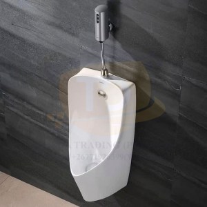Urinal (Wall Mounted Type)