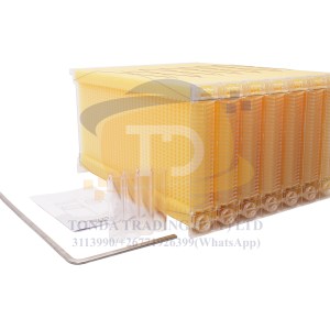 Beehive Frame(with key)