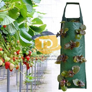 Planting Bag (H700mm Type)