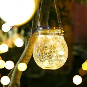 Decoration Light (Solar Type)
