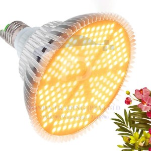 Plant Grow Light